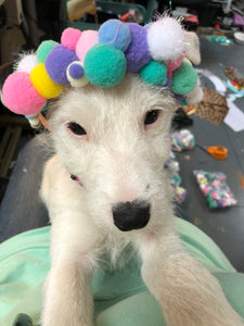 Pom Pom Crown