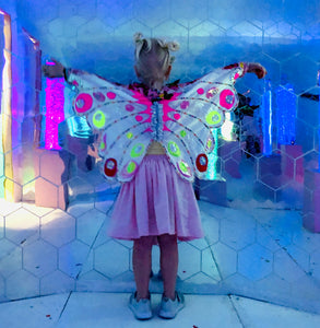 Butterfly Body